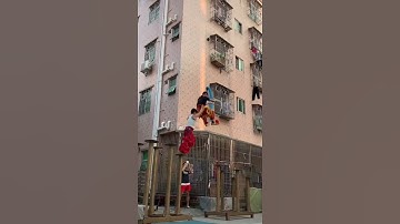 So perfection in this video || 😍😍 #shorts