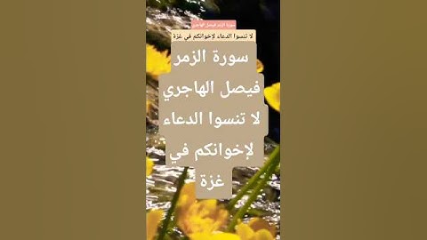 سورة الزمر فيصل الهاجري #قران_كريم #تيك_توك #المصحف #حالات_واتس #لايك   #ترند #فولو #اكسبلور