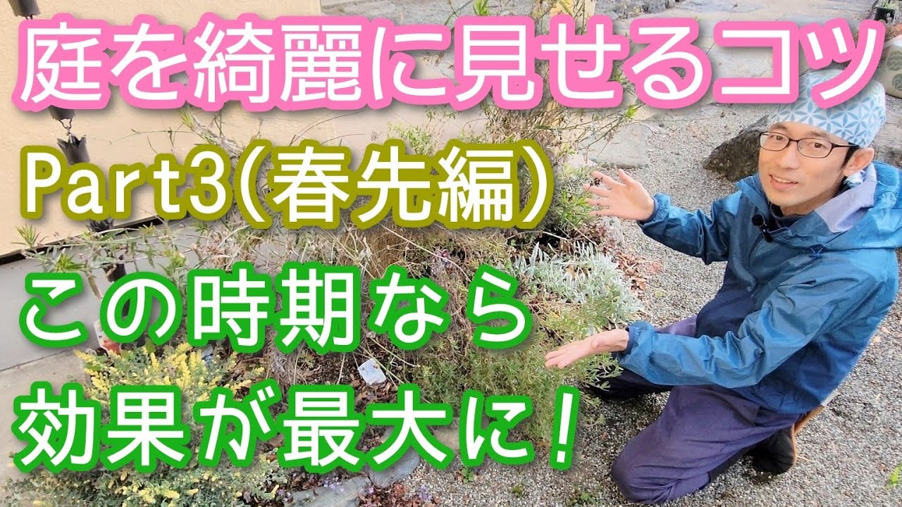 【庭を綺麗にするコツ】草花&低木を植えたスペースは春先の手入れが効果大(2023年3月)✂️🧹