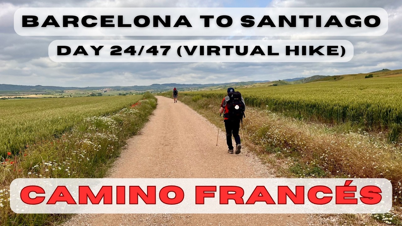 Day 24: Barcelona to Santiago - Estella to Torres del Río (Camino Catalan, Aragones, Frances)