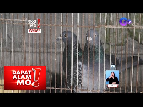 Video: Pinakamagandang Bagay na Gagawin sa Pigeon Forge