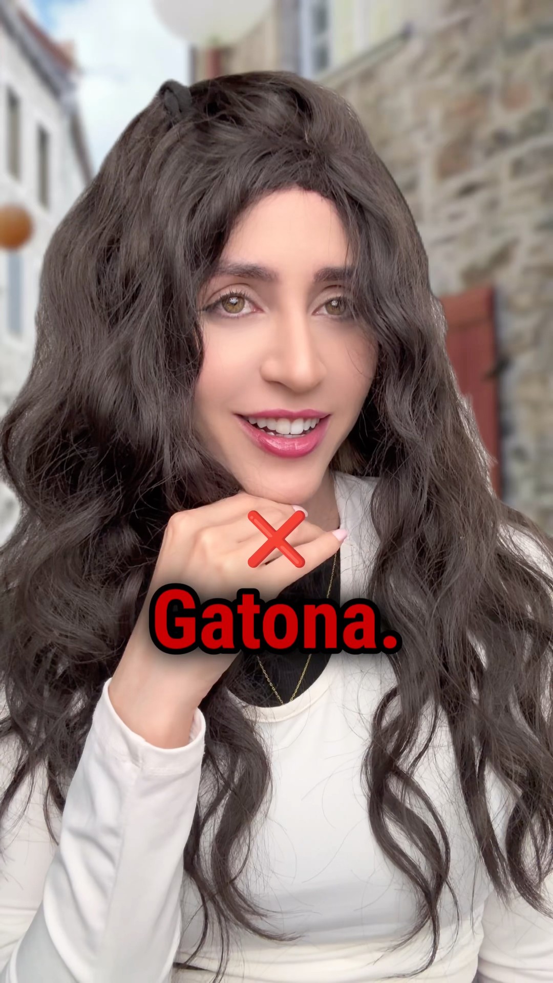 Gatinha em espanhol: gatita, guapa e o cuidado com gata
