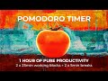 Pomodoro Timer: 1 Hour/ 2 x 25 min sessions with 2 x 5 min breaks