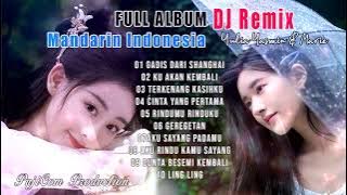 Full Album Dj Remix Mandarin Indonesia || Lagu Kenangan Nostalgia [Yulia Yasmin & Mario]