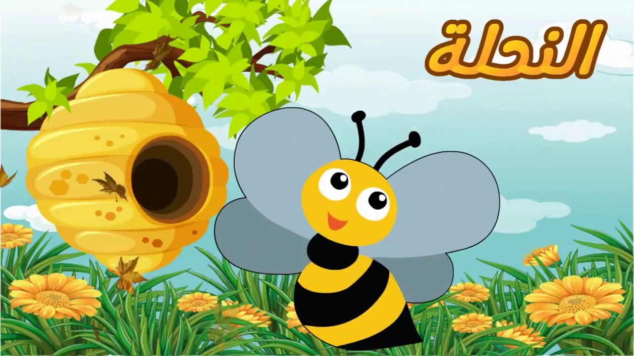 رسم وتلوين النحلة للأطفال |  Draw Bee For Kids