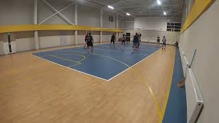 Volley.md - Powerful Spikes And Good Defense