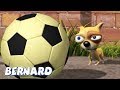 Bernard Bear | The Little Dog AND MORE | 30 min Compilation | Cartoons for Children