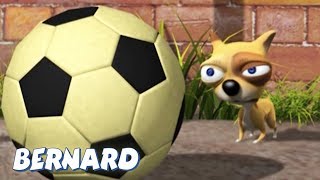 Bernard Bear The Little Dog And More 30 Min Compilation Cartoons For Children