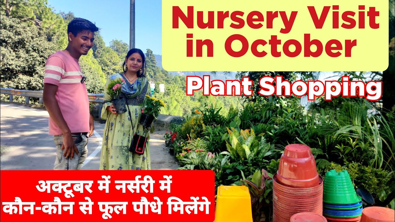 Plant Nursery Visit in October/Nursery Visit With Plant Shopping