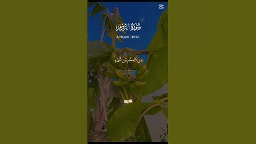 سورة الزمر 🤍 #اكسبلور #لايك #المصحف #القرآن_الكريم #حالات_واتس #دويتو #duet #تيك_توك #راحة_نفسية
