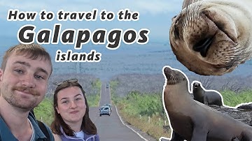 Everything you need to know about getting to the Galapagos Islands from Quito, Ecuador