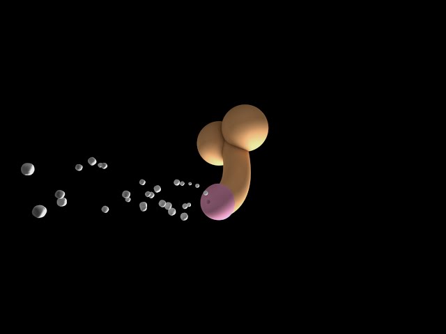 penisrig PENIS RIG FOR CINEMA 4D! {FREE} (made in Cinema 4D R14) by CrispFX