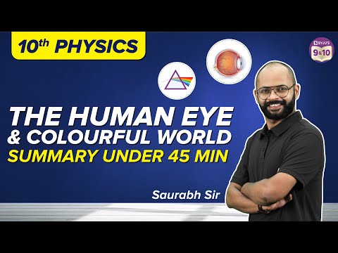 The Human Eye