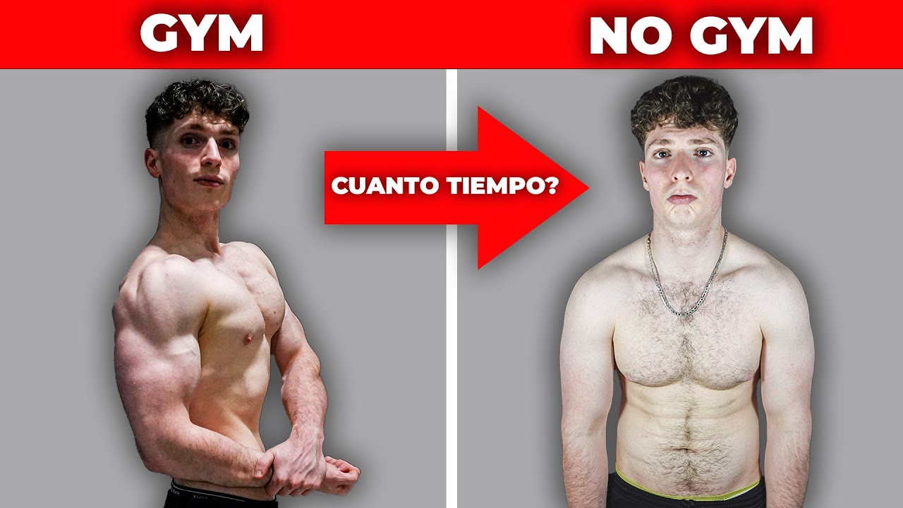 Como De Rapido Pierdes Musculo Si Dejas De Entrenar? (Y Como Evitarlo)