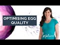 How to optimise your egg quality - dietitian tips