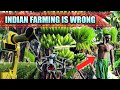 Indian Farming is Done WRONG || THE DOWNFALL || भारतीय खेती की गलतिया ||