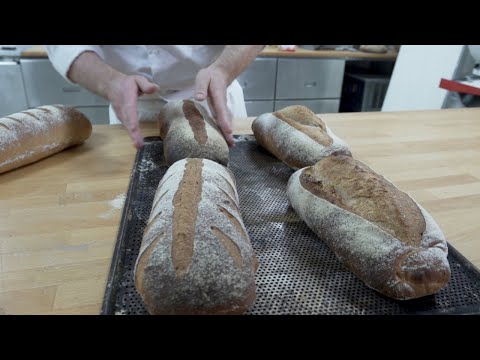 Video: Hva betyr vis brødsmuler?