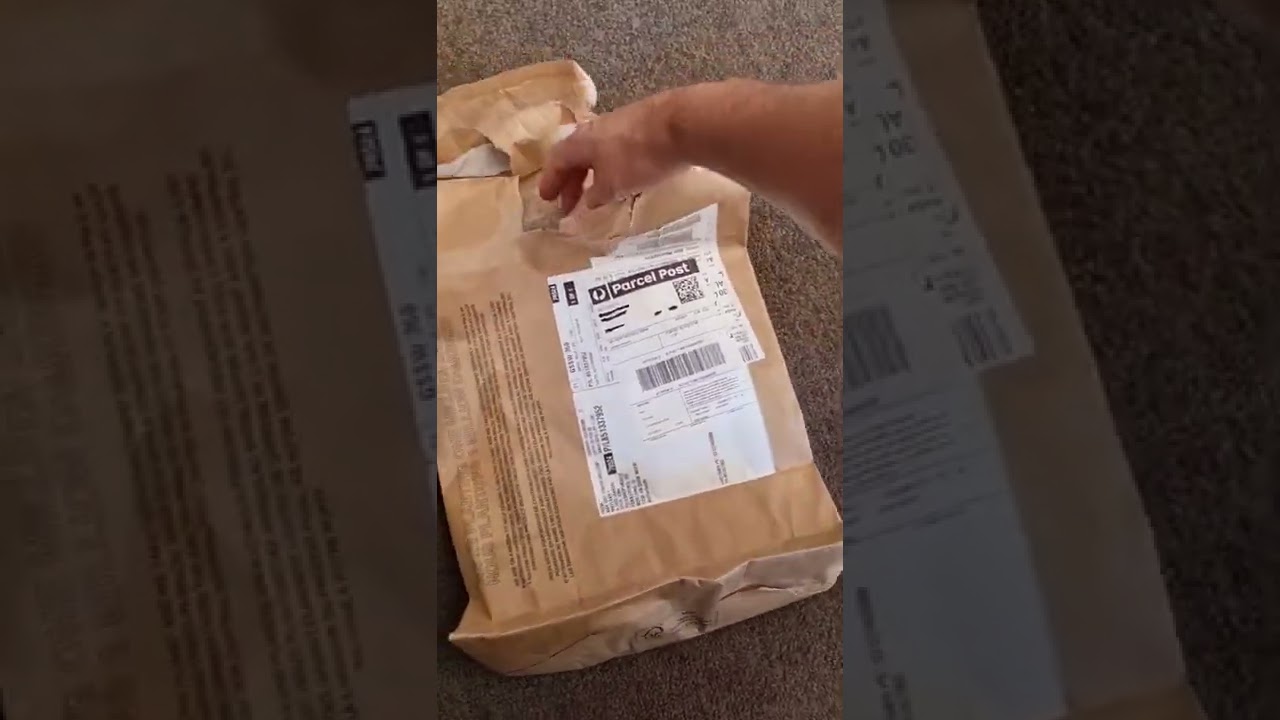 New Air Jordan wordmark Tshirt 