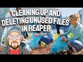 Cleaning up  deleting unused files in reaper