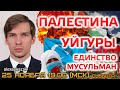 Палестина. Уйгуры. Единство Мусульман. Новости Сегодня. Газа. Прямой эфир Алексея Казака