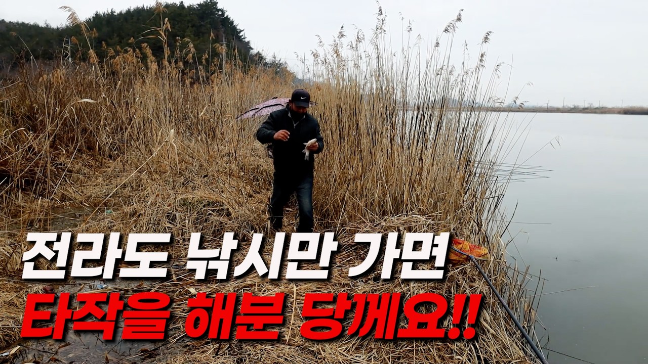 붕어 낚으러 전라도만 가면 타작 해부네요 전남 예술포인트!