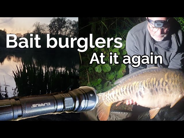 If wildlife is diving down on your bait when Carp fishing. Try this  tactical torch, just be careful 