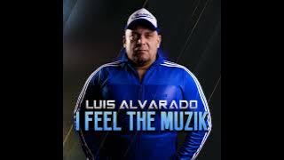 The Muzik Intro Mix /  