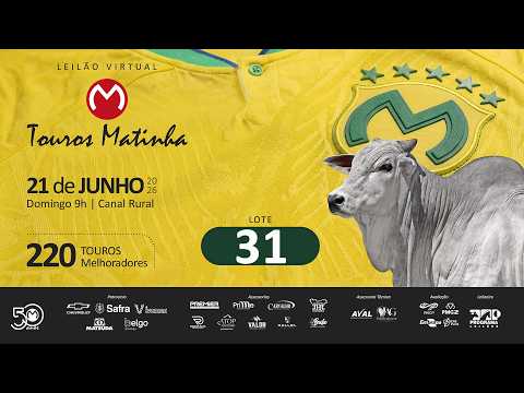 LOTE 31