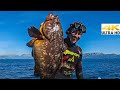 Crazy Day at Sea Bluewater Spearfishing🌊Grouper Caught Barehanded | Spearfishing Life 🇬🇷