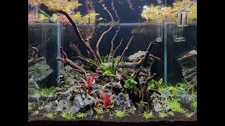 Stones and Wood Aquascape 4k