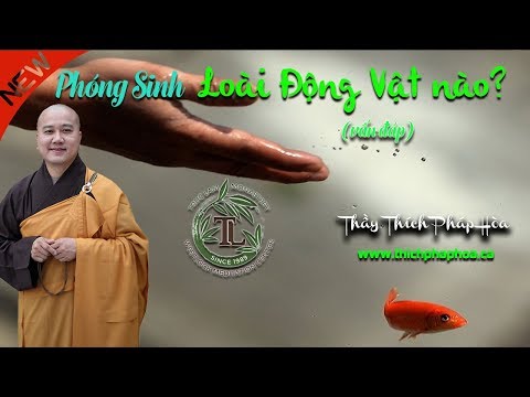 Video: Sinh vật nào là sinh vật sản xuất?