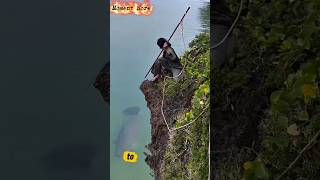menombak ikan besar dari atas tebing #amazing #spearfishing #shorts