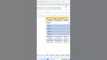 Slicers In Excel #short #shorts #shortvideo #shortsvideo #youtubeshorts #youtube #viral #viralvideo
