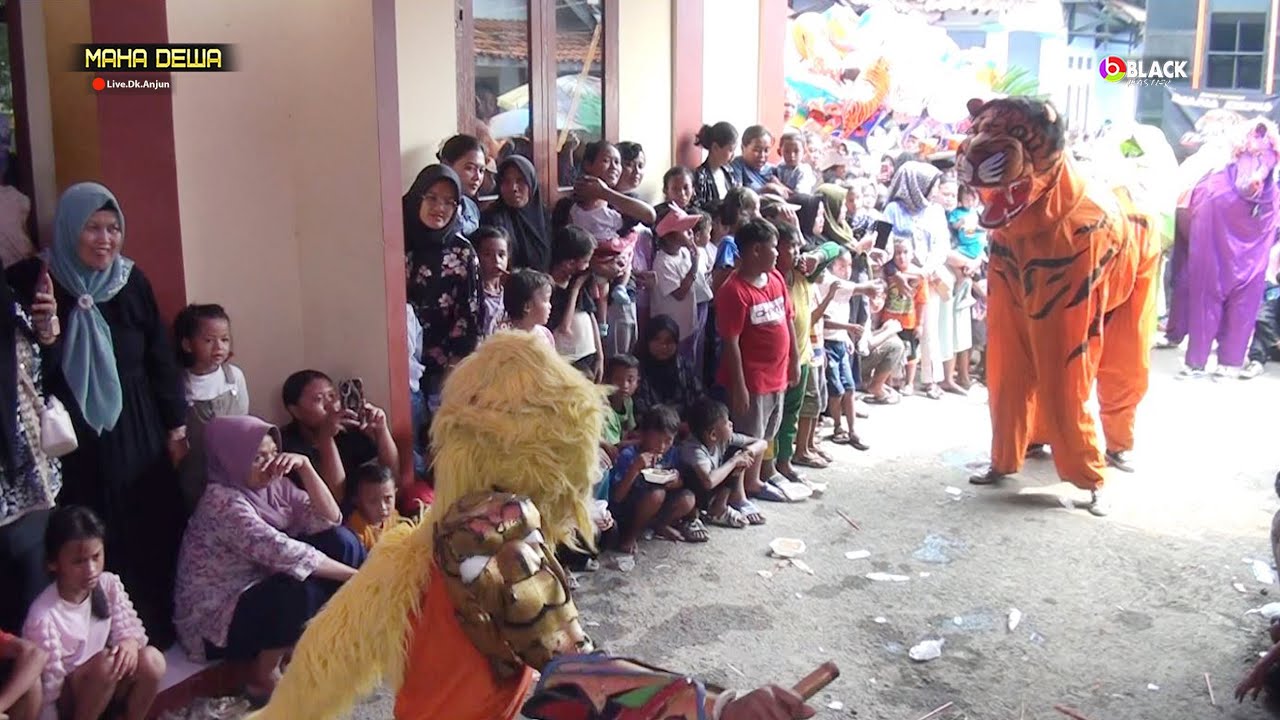 Aksi Tarung Hewan Burok Maha Dewa Dk.Anjun