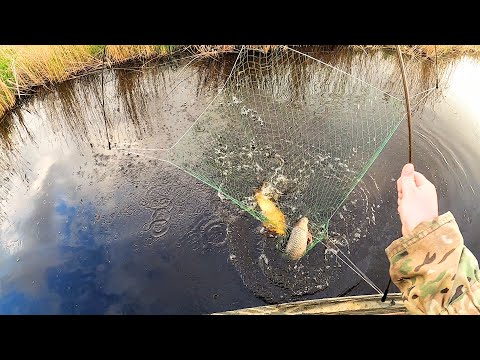 Видео: УХ!!! ВОТ ЭТО УДАЧА! НАТКНУЛИСЬ НА РЕЧУШКУ- А В НЕЙ САЗАНА КАК ГРЯЗИ. Рыбалка на паук-подъёмник.