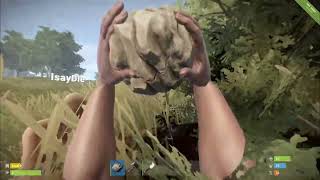 First time playing Rust Alpha with DSH (2013)