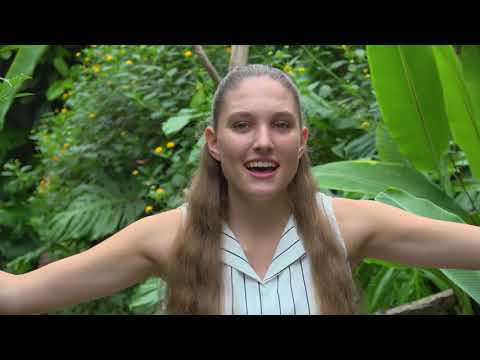 Lisette van der Ploeg - Vlinders (officile videoclip)