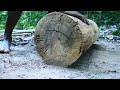 Build unique primitive wild boar trapping tool using big wood fall in to deep hole that work 100