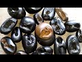 Shaligram shila  twenty different types of narsimha shaligram collection  shaligramcollection