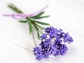 Lavendel aus Blütenpaste / Lavender Tutorial (English Subtitles!)