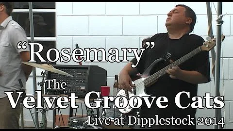 Velvet Groove Cats - Rosemary