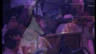 Lost illusions bass concerto by Gene Pritsker