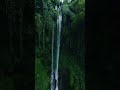Nature’s Hidden Paradise 🌿&amp; Peaceful Waterfall View #waterfall #nature #calm #naturelovers #explore
