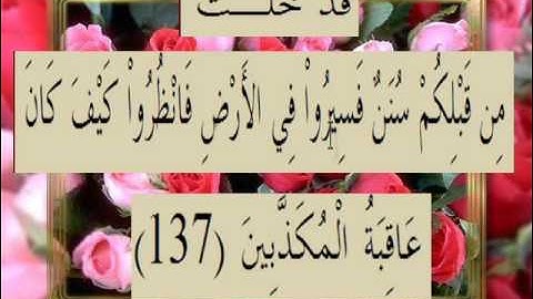 القران الكريم سورة آل عمران الأية 137