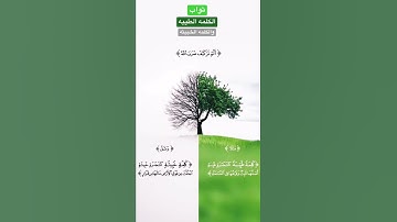 كيف ضرب الله مثلًا الكلمه الطيبه والكلمه الخبيثه سورة إبراهيم