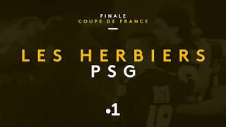 Coupe de France : La Finale : Herbiers / PSG - 08/05/2018