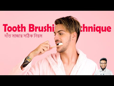 Tooth Brushing Technique | দাঁত ব্রাশ করার সঠিক নিয়ম  | Modified bass technique