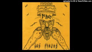 Los Piojos - Todo Pasa