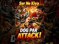 शेर ने किया कुत्ता पर attack😱 #animals #viral #lions #newtrending