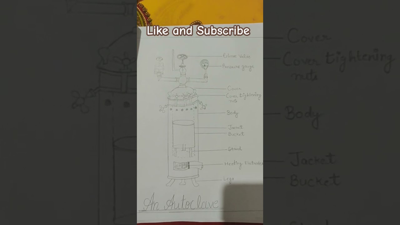 ✨An Autoclave Diagram ✨#B.Sc# Shorts #